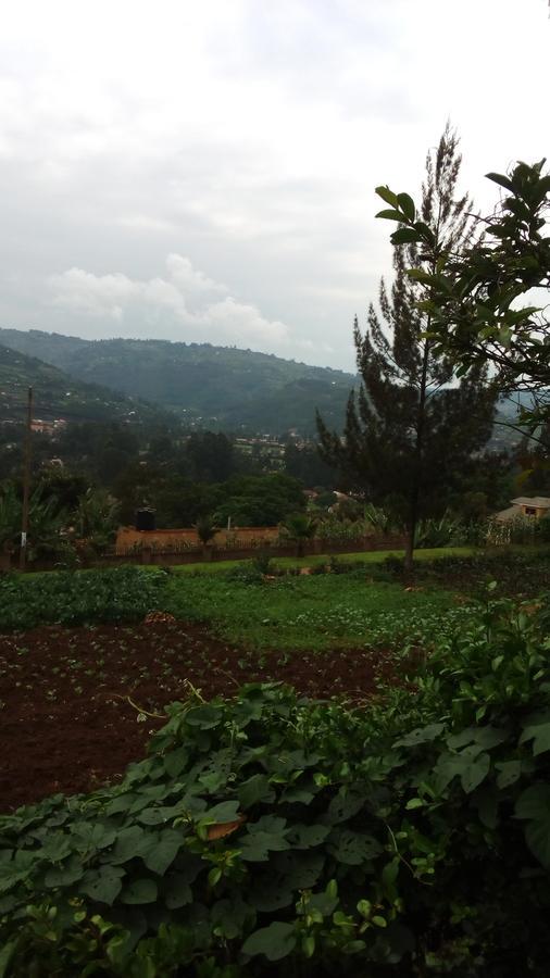White Horse Inn Kabale Exterior foto